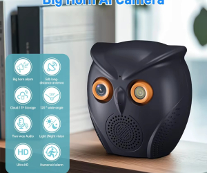 ICSEE WiFi Camera Owl Shape 3mp Bluetooth Speaker AI Cameras