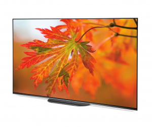 Sony A9G 55 inch Android 4K Oled TV