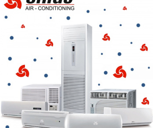 CHIGO 1.5 TON INVERTER SPLIT AC