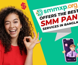 Cheap & Best SMM Panel in Bangladesh  SMMXP