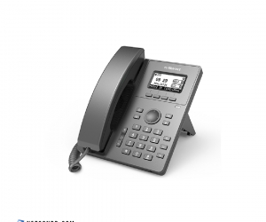 FLYINGVOICE P10P High Performance Entrylevel IP Phone