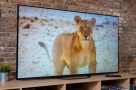 55-inch-sony-bravia-A8G-OLED-4K-TV