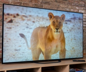 55 inch sony bravia A8G OLED 4K TV